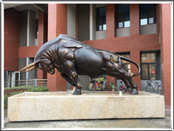 公司開(kāi)荒牛